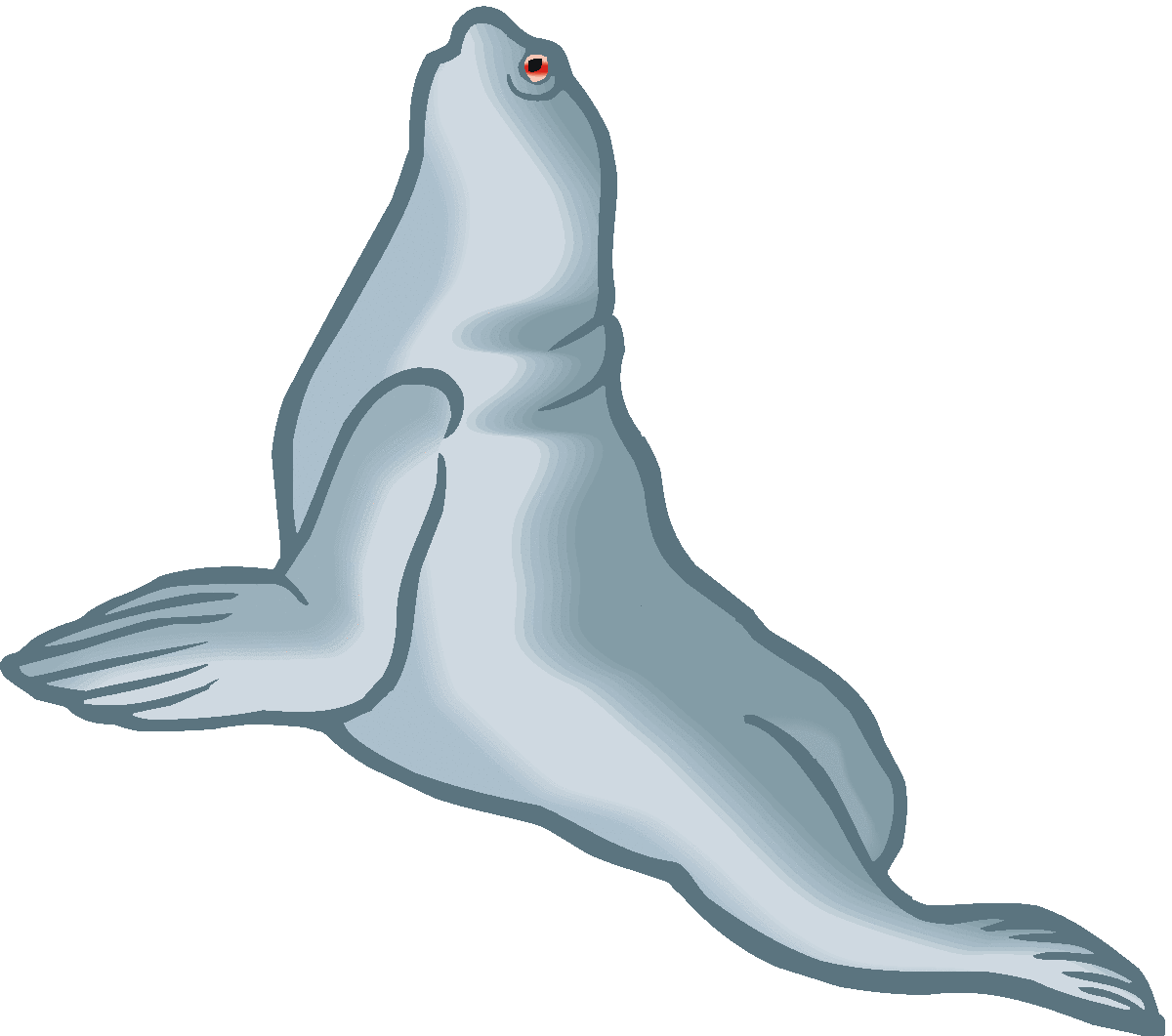 1200x1061 Sea Lion Clipart Animated