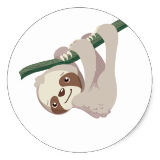 324x324 Collection Of Baby Sloth Clipart High Quality, Free Cliparts