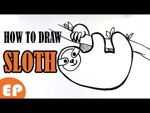 480x360 How To Draw A Sloth (Cute)