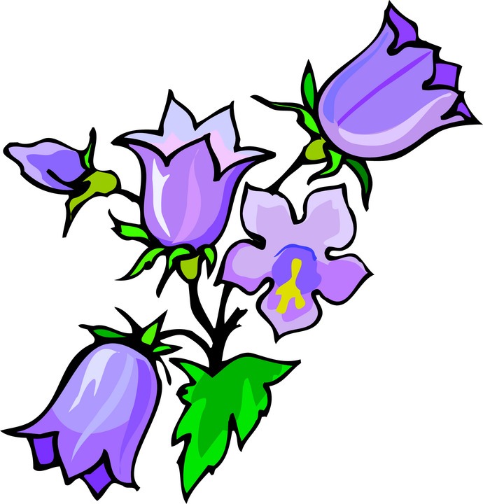 690x720 Clip Art Of Flowers In A Vase Clipart Panda