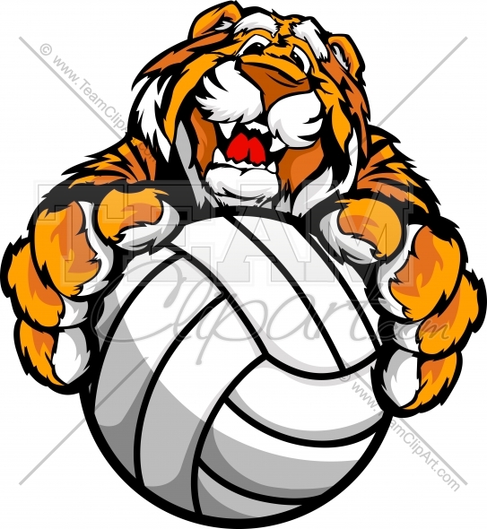 543x590 Cute Happy Tiger Mascot With Volleyball Ball In Paws Vector