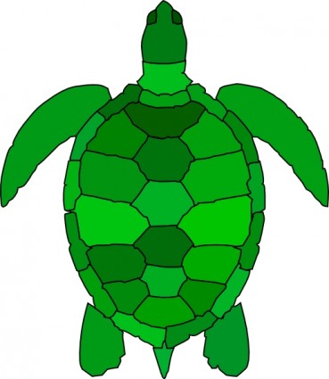 369x425 Cute Turtle Clipart Black And White