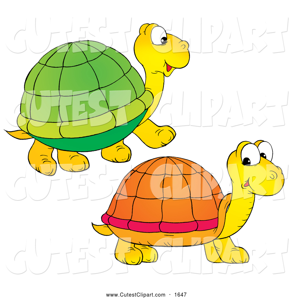 1024x1044 Royalty Free Turtle Stock Cute Designs