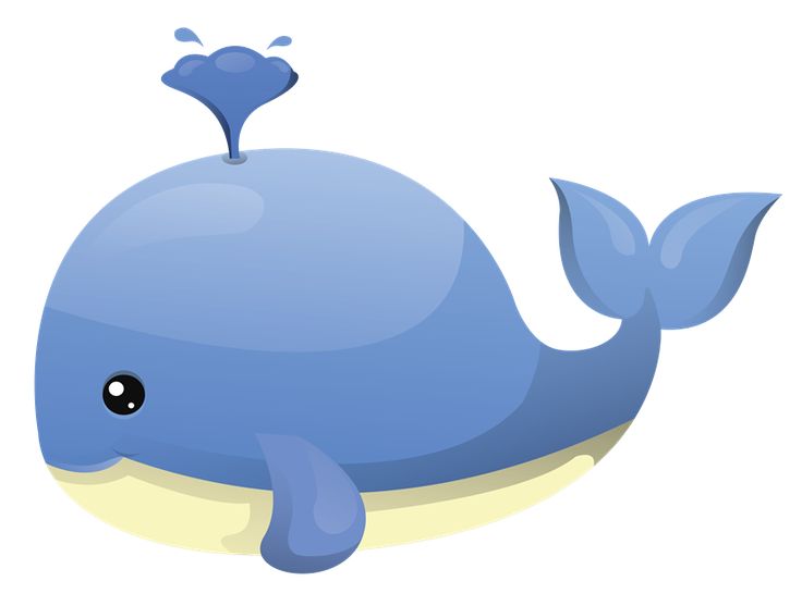 736x557 Cartoon Whale Clipart