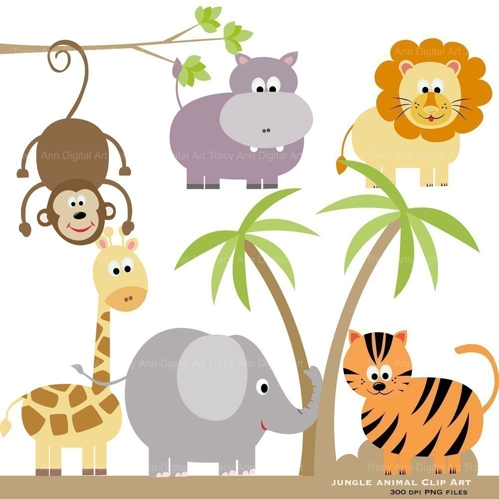 1000x1000 Baby Zebra Clip Art