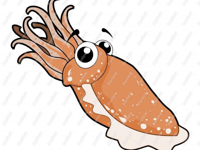 640x480 Easy Fish Cliparts Free Download Clip Art