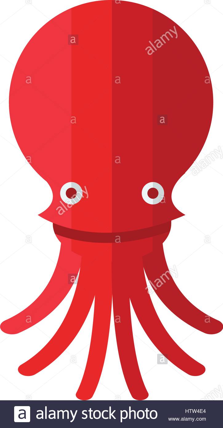 725x1390 Squid Cartoon Stock Photos Amp Squid Cartoon Stock Images