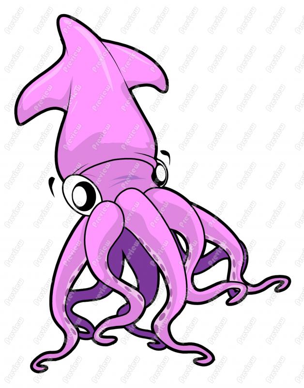 628x800 Squid Clip Art Amp Squid Clipart Images