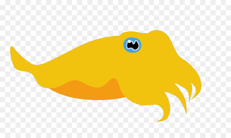 900x540 Squid Cuttlefish Cephalopod Clip Art