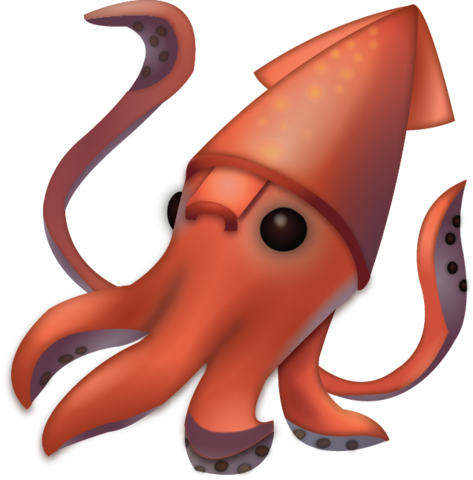 473x480 Squid Png Images Free Download