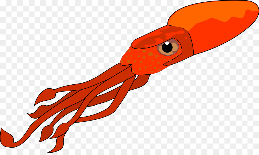 900x540 Squid As Food Free Content Clip Art