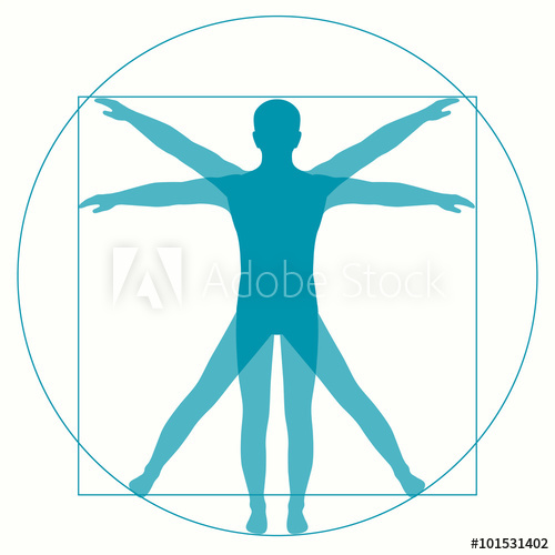 500x500 Leonardo Da Vinci Vetruvian Man, Human Anatomy