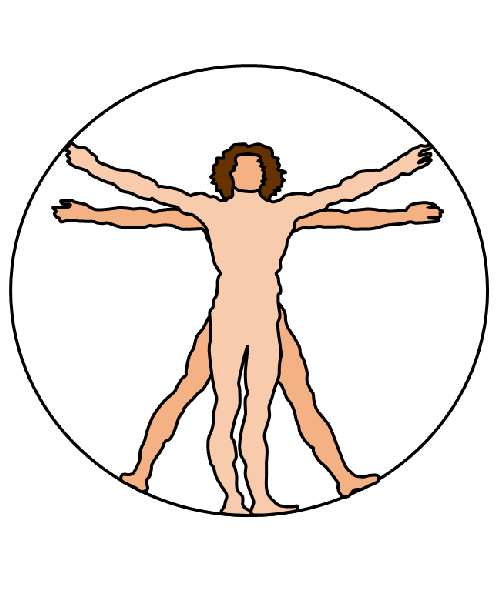 500x600 Da Vinci's Vitruvian Man Fourtwinsisters