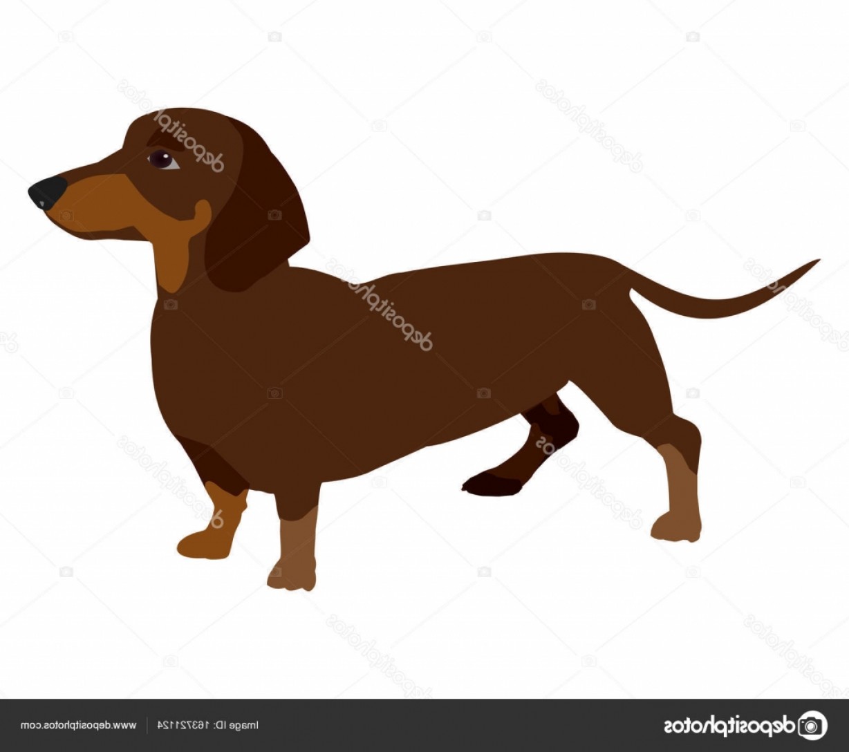 1228x1088 Dachshund Vector Art Shopatcloth