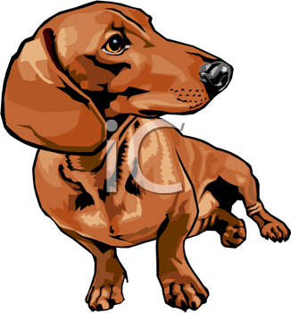 326x350 Dachshund Clipart Images And Royalty Free Illustrations