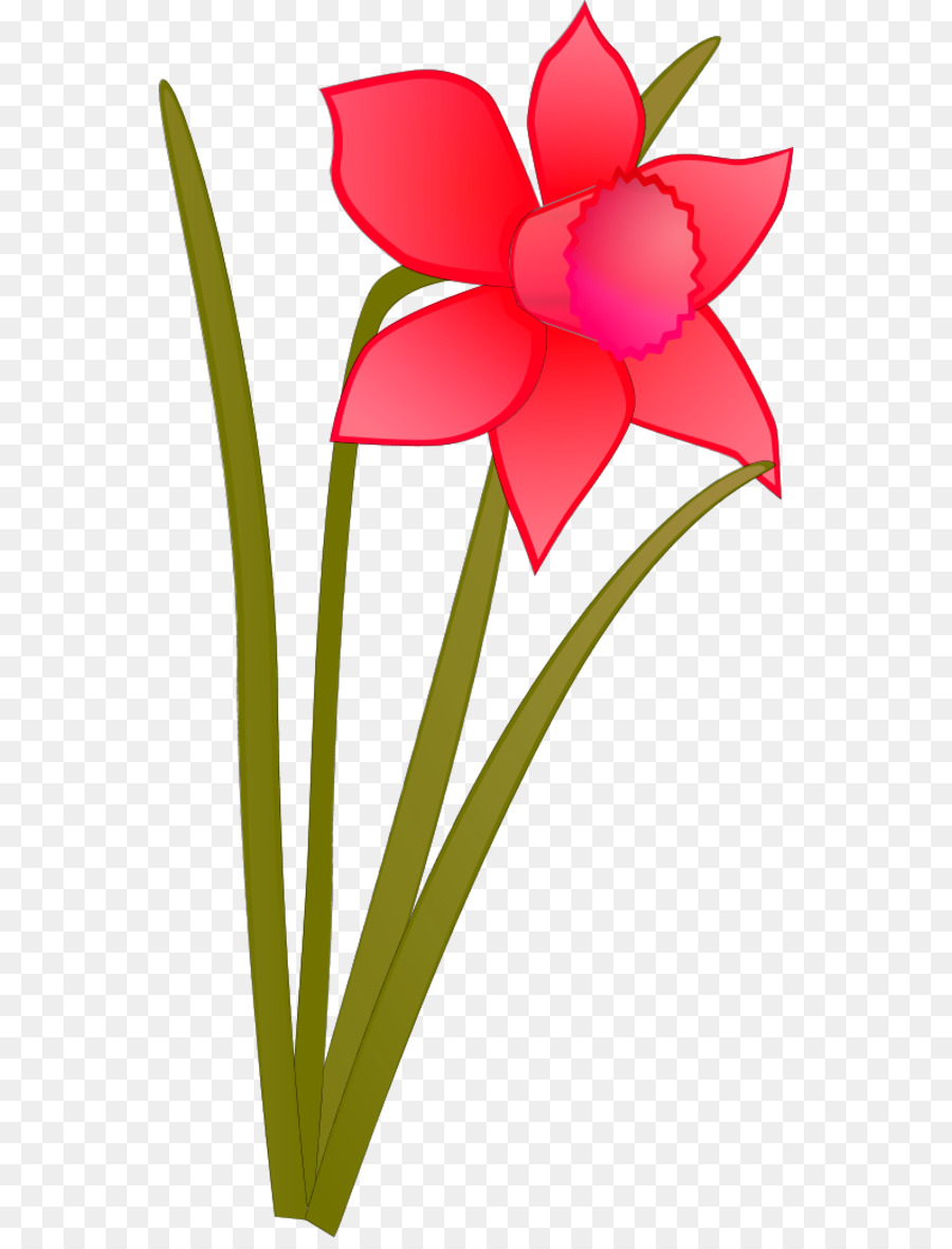 900x1180 Daffodil Flower Clip Art