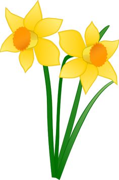 236x358 Daffodil Graphics Daffodils Free Clip Art
