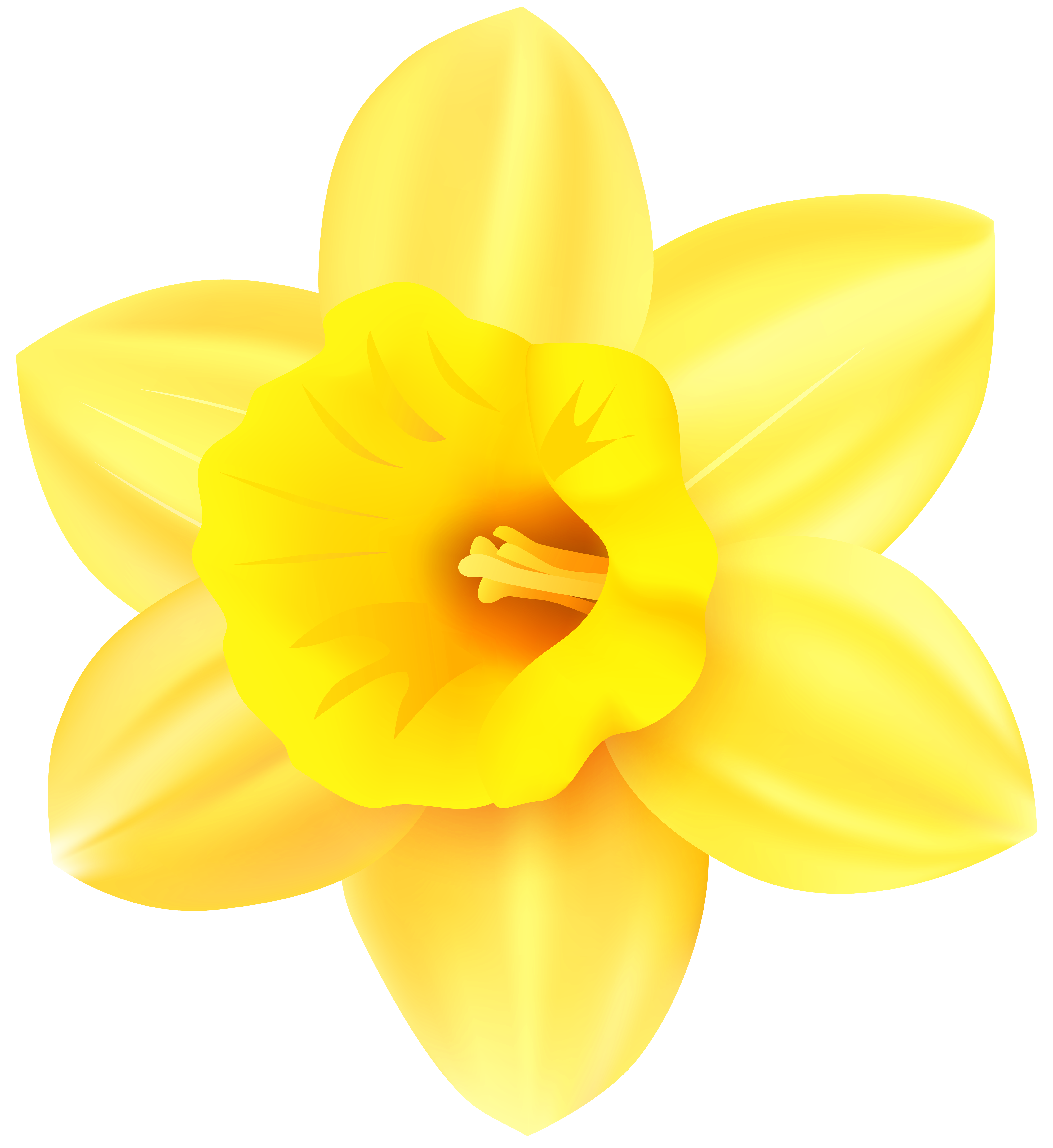 5502x6000 Daffodil Png Transparent Clip Art Imageu200b Gallery Yopriceville