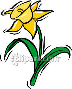 244x300 Daffodil Clipart One