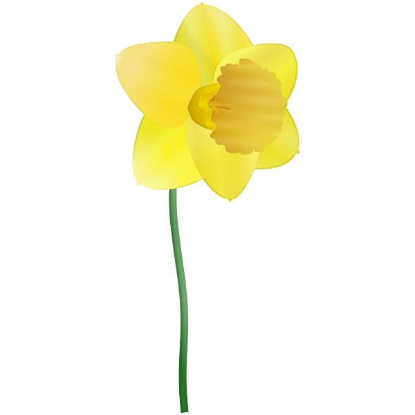 600x600 Free Daffodil Clipart