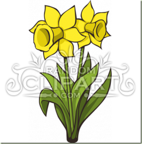 455x463 Top 91 Daffodil Flower Clip Art