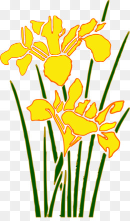 260x440 Daffodil Png And Psd Free Download