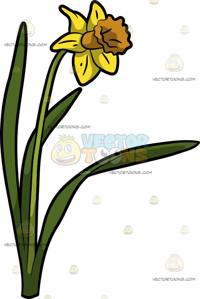 685x1024 A Pretty Daffodil Flower Cartoon Clipart Vector Toons