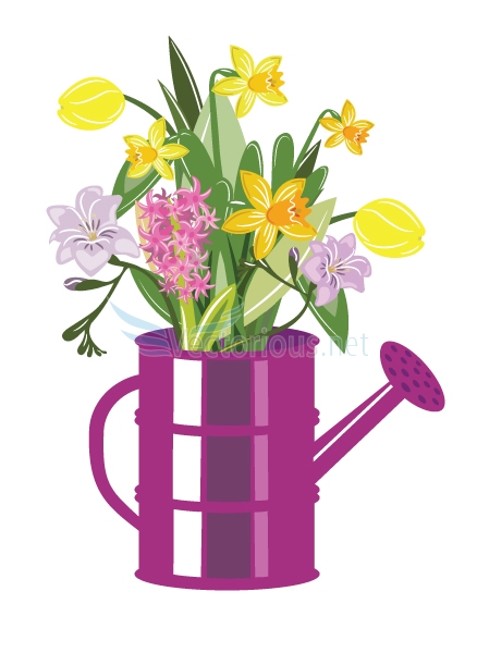 438x600 Pictures Of Daffodils Clipart Collection