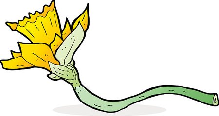 450x240 Cartoon Daffodil Flower Stock Vectors