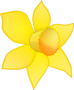 246x299 Clip Art Daffodils