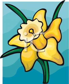 287x350 Clip Art Illustration Of A Spring Daffodil