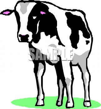 324x350 Cow Clipart Black And White Clipart Panda