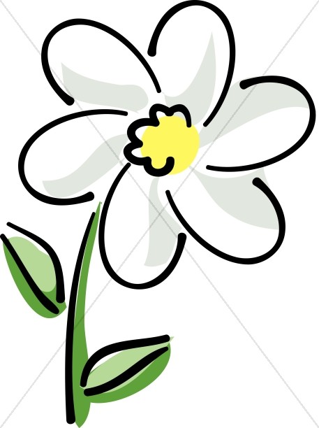 457x612 White Daisy With Yellow Church Flower Clipart