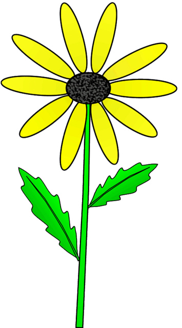 355x640 Oxeye Daisy Clip Art 4933778