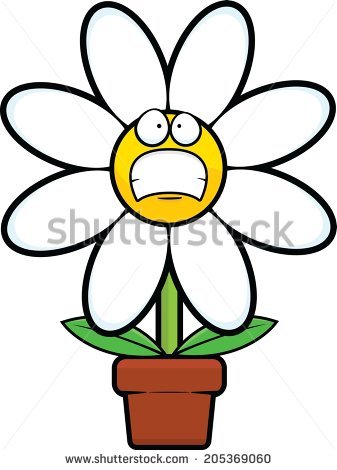 337x470 Special Cartoon Daisy Flower Stock Images Royalty Free Vectors