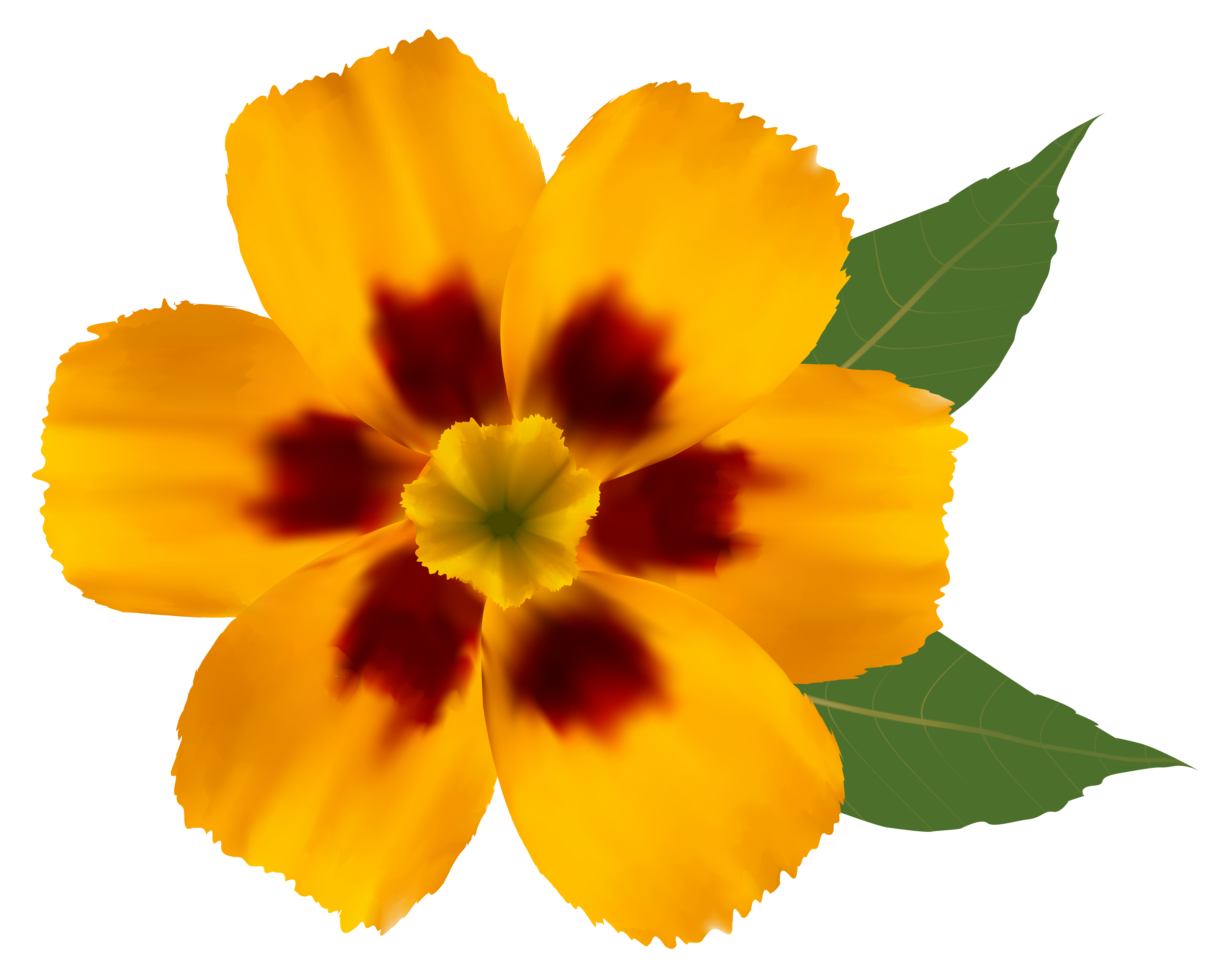 6288x4996 Yellow Flowers Clipart Images