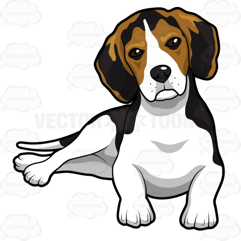 800x800 Cartoon Beagle Dog Clipart
