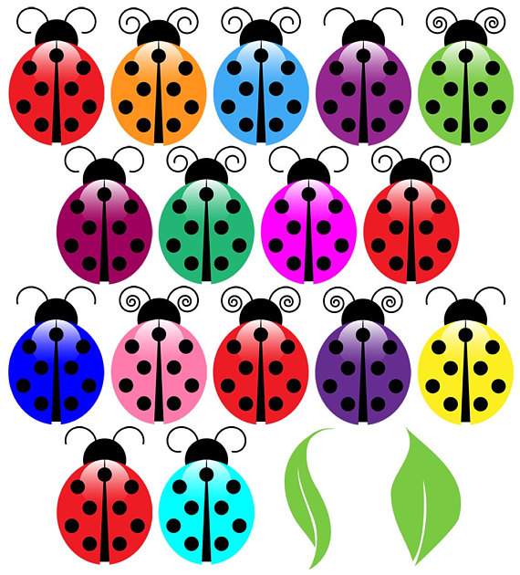 570x630 Ladybugs Clip Art Clipart, Ladybug Clip Art Clipart
