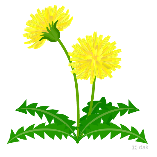 540x540 Free Dandelion From The Side Clipart Cartoon Amp Clipart
