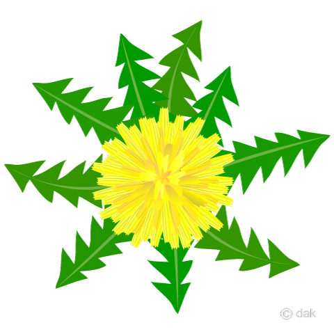 480x480 Free Dandelion Cartoon Amp Clipart Amp Graphics [Ii]