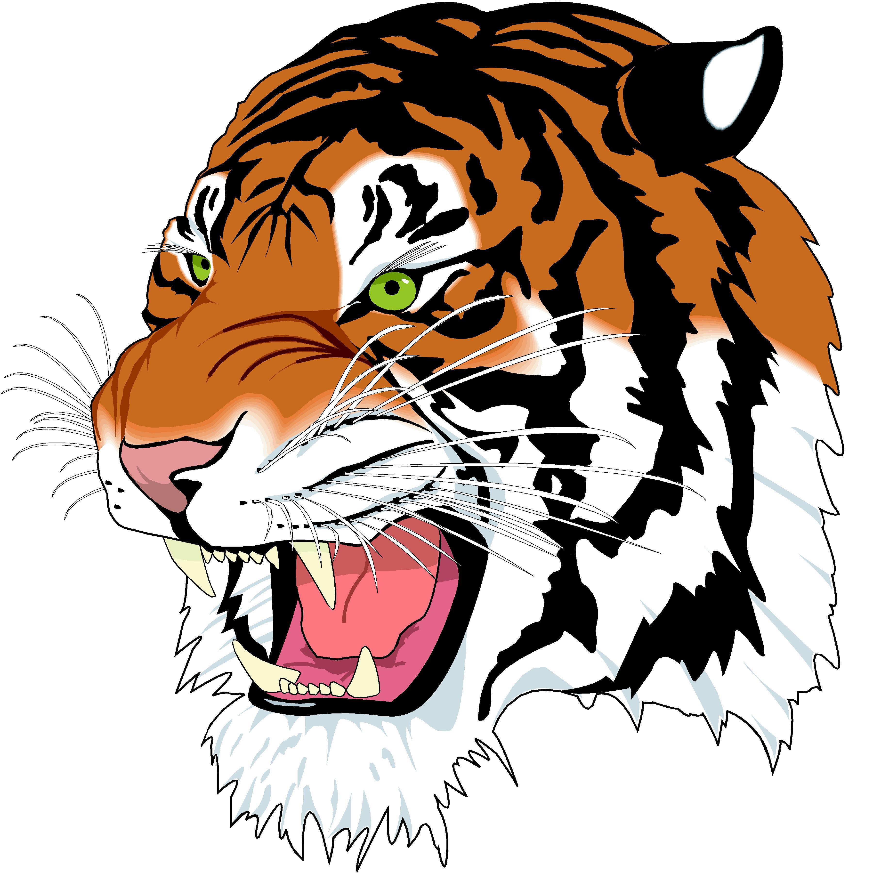 3600x3600 Tiger Images Clip Art
