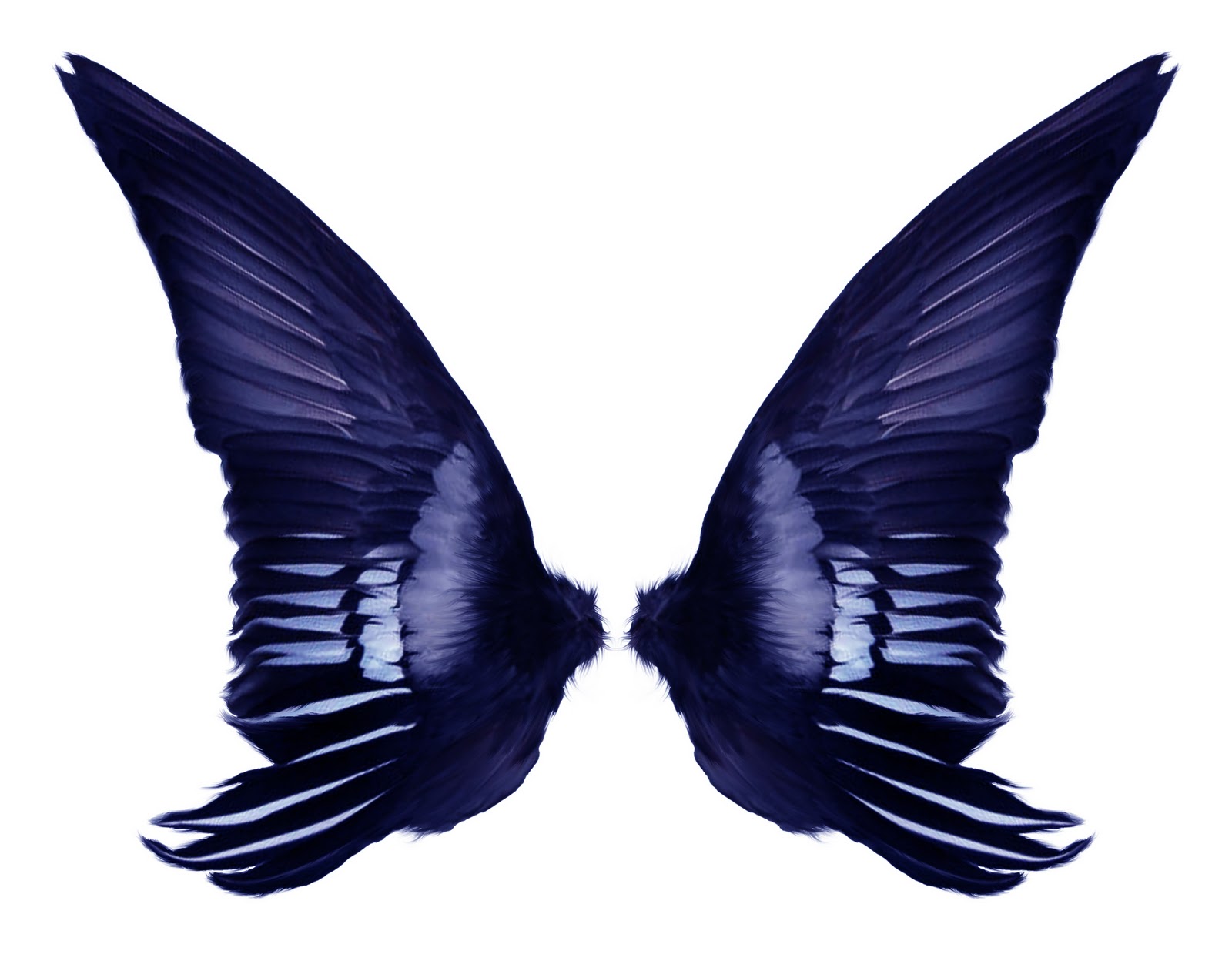 1600x1270 Fairy Wings Template Clipart Panda
