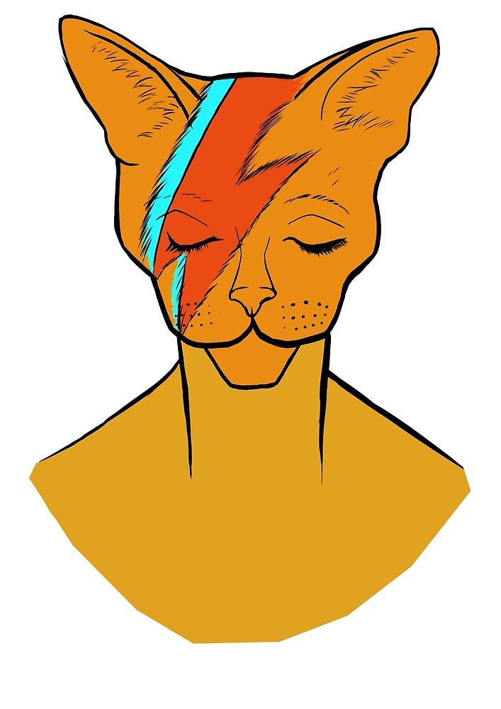 707x1000 David Bowie Cat By Paul Malin Redbubble