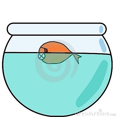 Dead Fish Clipart