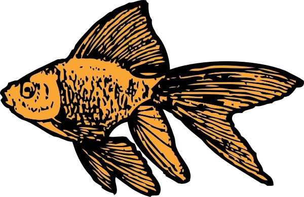 600x389 Goldfish Gold Fish Clip Art 2