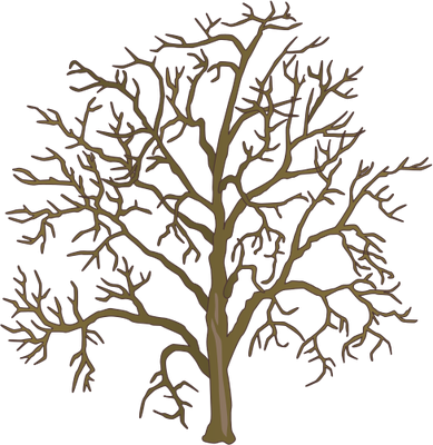389x400 Elegant Dead Tree Clipart