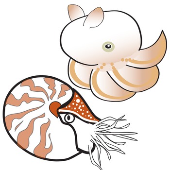 350x350 Sea Life Clipart Deep Sea