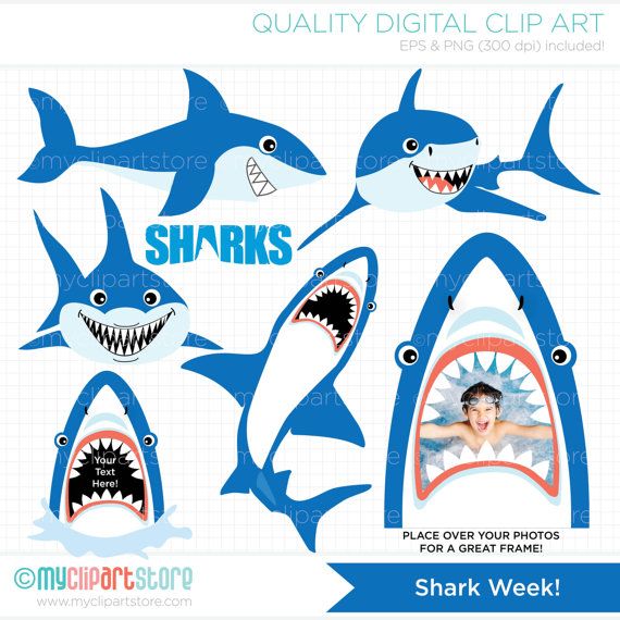 570x570 Shark Clipart, Under The Sea, Party, Diving, Ocean Life, Deep Sea