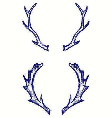 380x400 Deer Antler Clip Art Free Top Deer Free Spot Home Improvement