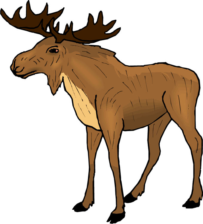 679x750 Wildlife Clipart Moose Antler